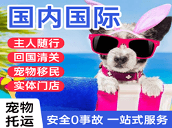 西昌航空空运国际宠物托运 【国